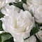 Gerbe de roses blanches d’Ashland